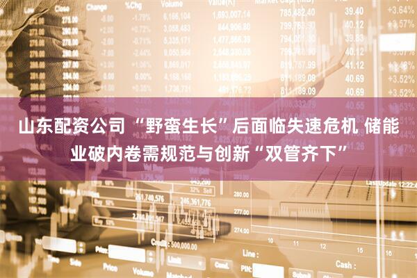 山东配资公司 “野蛮生长”后面临失速危机 储能业破内卷需规范与创新“双管齐下”